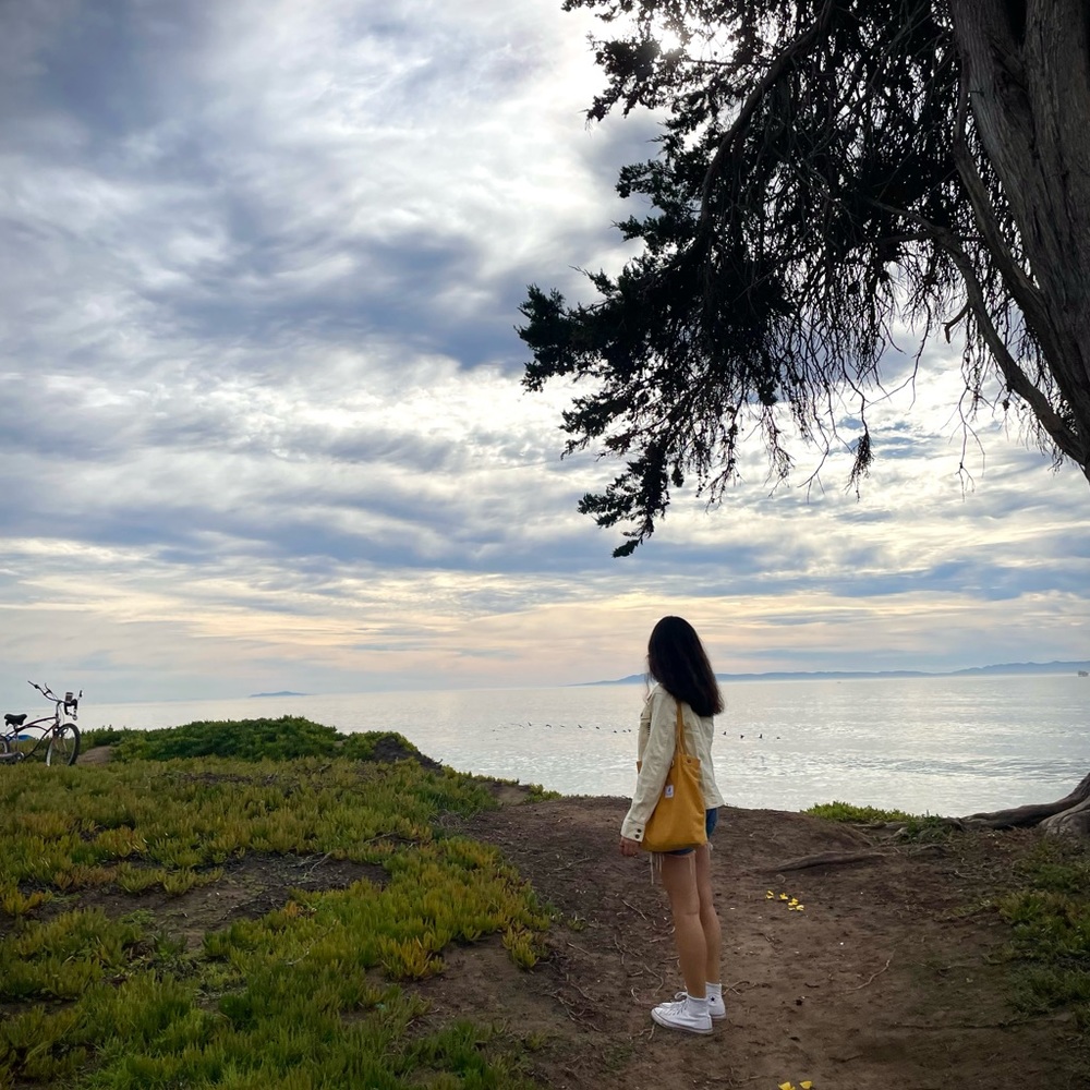 Meet your Posher, Kris